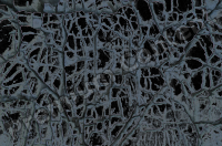 photo texture of cracked decal 0002